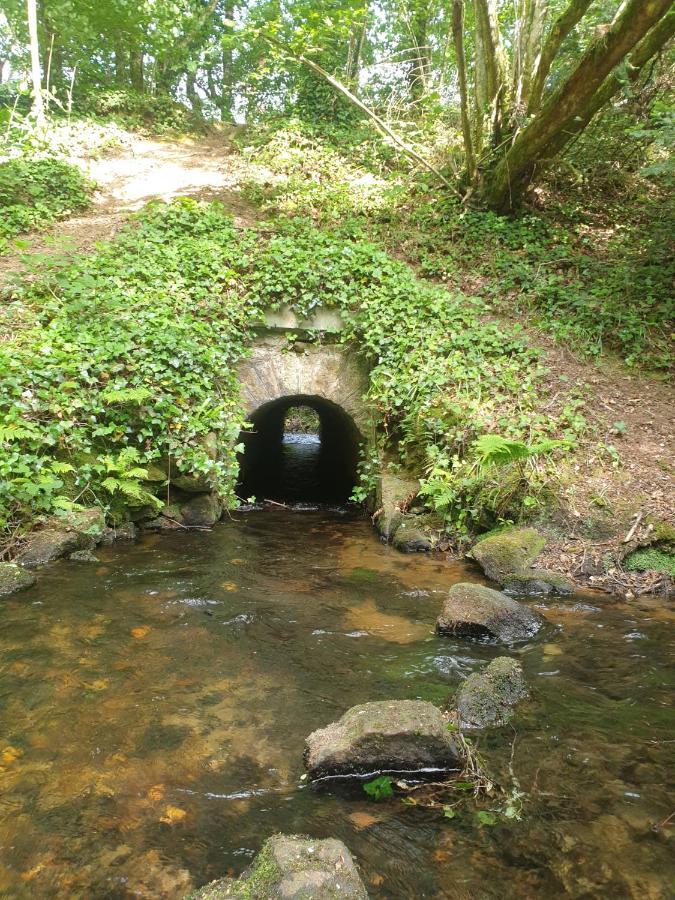 La Bulle De Clotilde - Logement Insolite Tourch Exteriör bild
