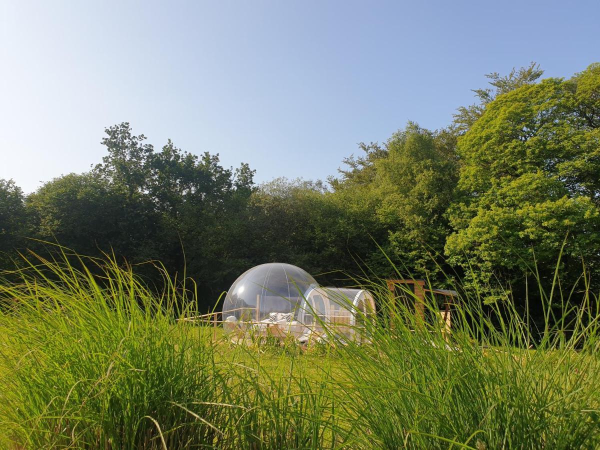 La Bulle De Clotilde - Logement Insolite Tourch Exteriör bild